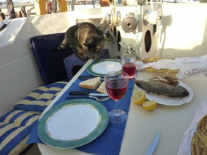 mimi+poisson
