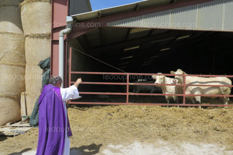 a-l-issue-d-une-messe-celebree-dans-la-cour-de-la-ferme-le-pere-sebastien-dubois-a-joue-du-goupillon-pour-benir-animaux-champs-et-batiments-les-fideles-ont-ensuite-partage-le-verre-de-l-amitie-puis-un-repas-1508313660