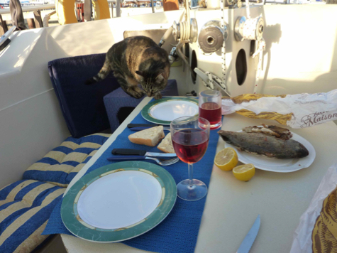 mimi+poisson